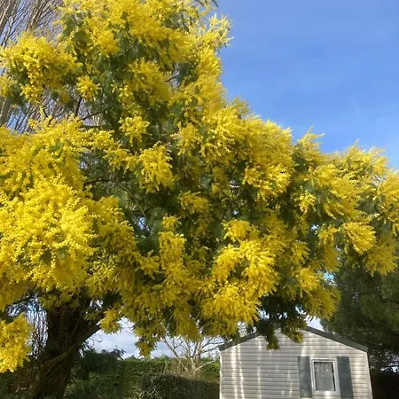 Camping L'r Pur Saint-Vincent-sur-Jard