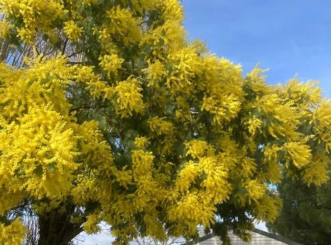 Camping L'r Pur Saint-Vincent-sur-Jard